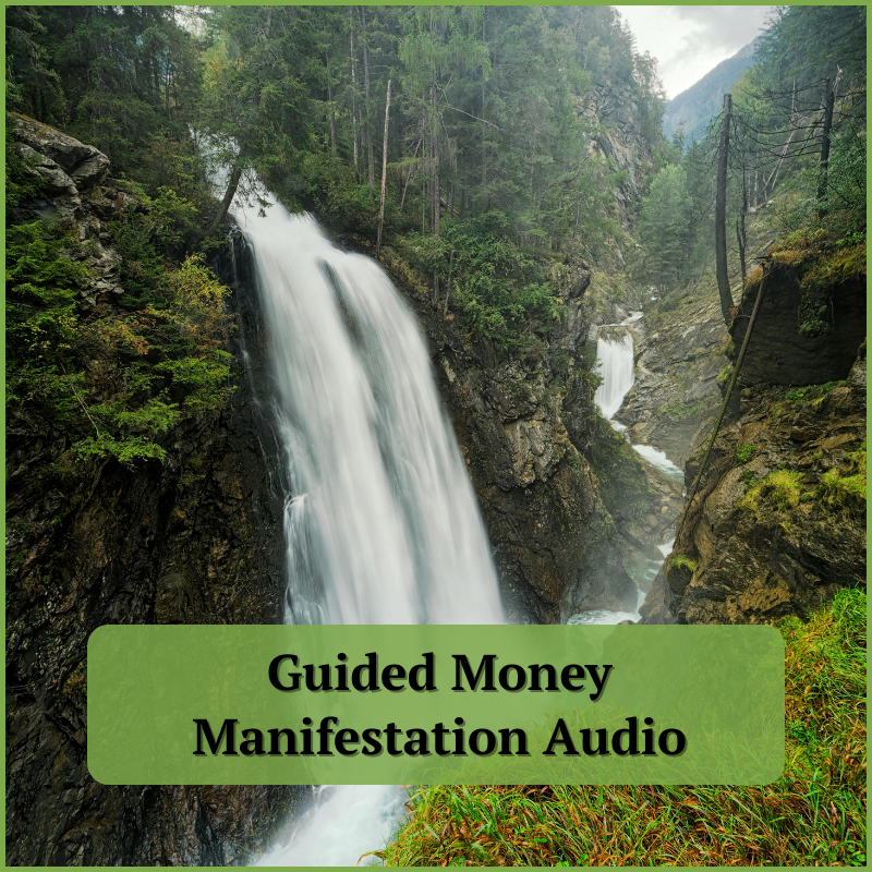 The guided Money Audio
