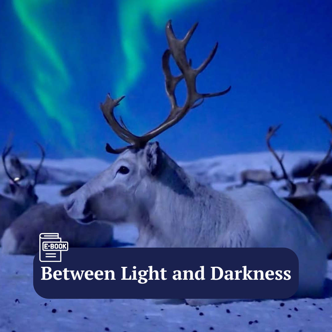 E-book between light and darkness