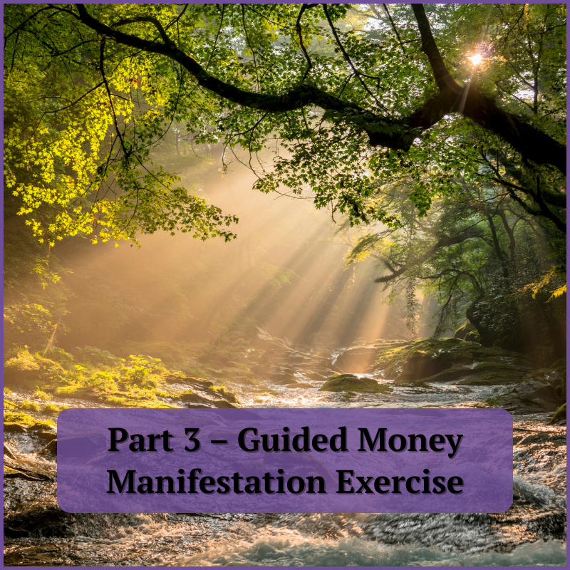 The Guided Money Manifestation