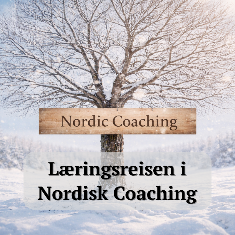 Læringsreisen i Nordisk Coaching